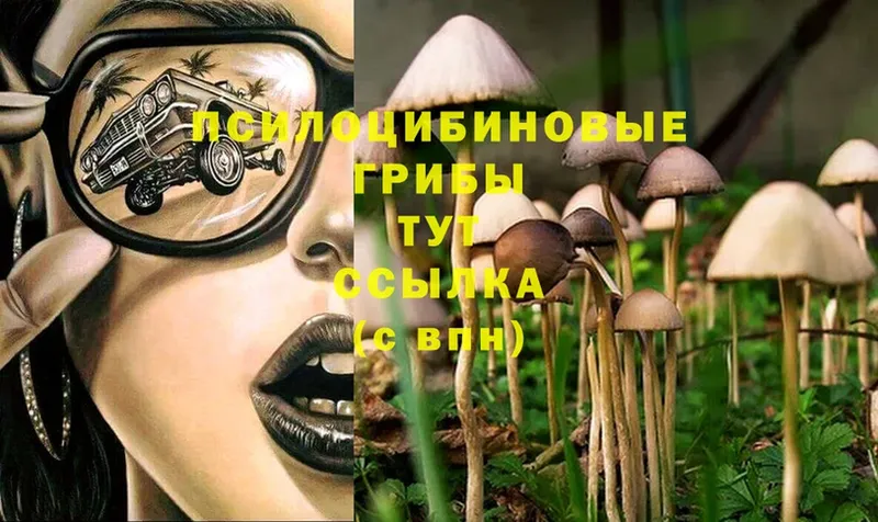 цены наркотик  Тарко-Сале  Галлюциногенные грибы MAGIC MUSHROOMS 